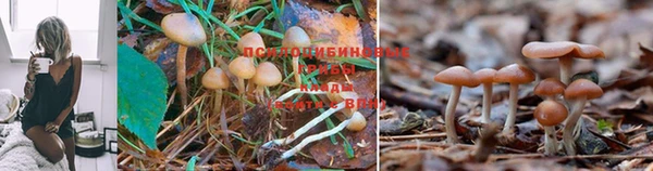 кокаин премиум Армянск