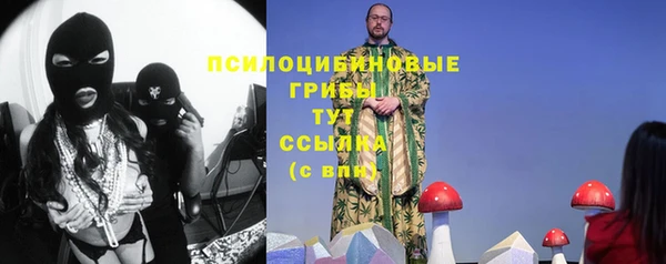 гидропоника Арсеньев