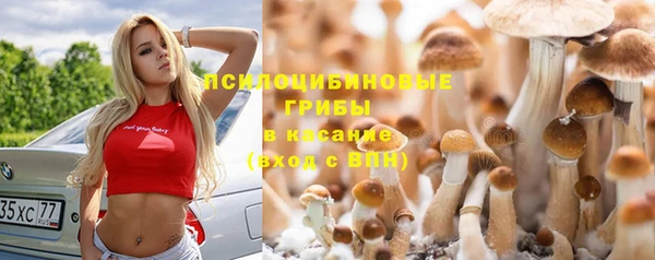 мет Аркадак