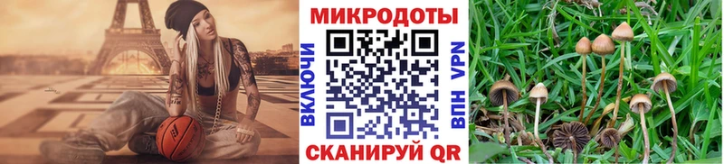 hydra ссылки  Рославль  Галлюциногенные грибы прущие грибы 